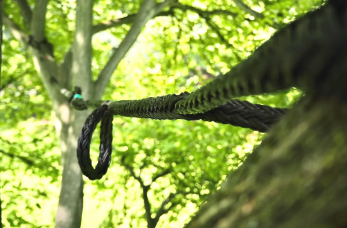 Bracing6