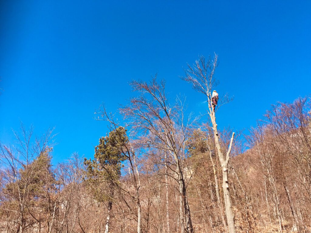 Img 20210301 wa0033