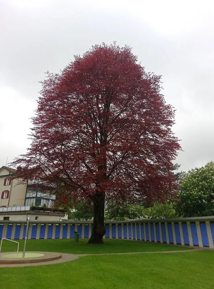 Img 20240508 110907 788