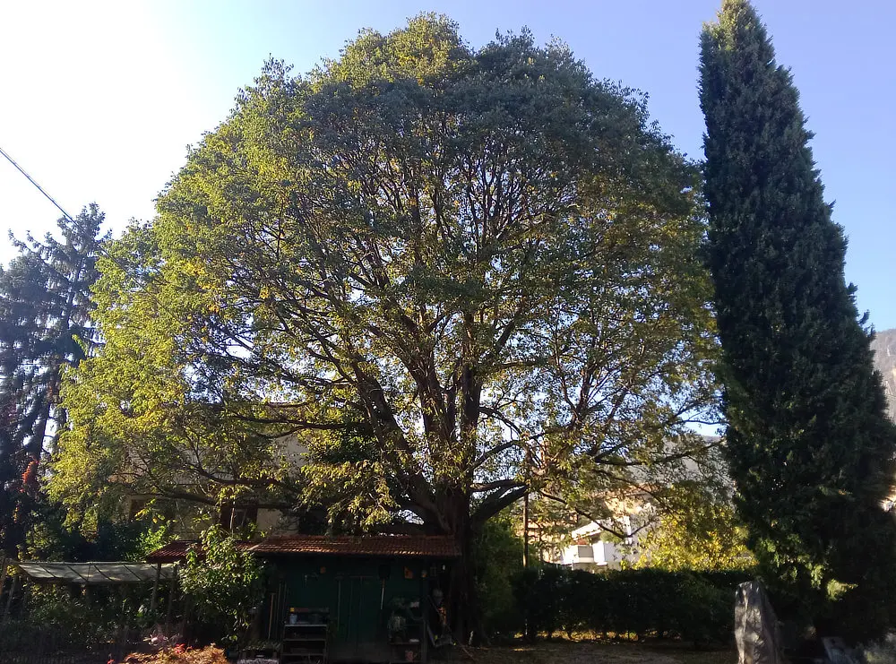 Img 20241030 141945 468